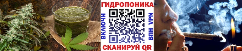 Печенье с ТГК марихуана  ссылка на мегу как зайти  даркнет формула  Салаир 