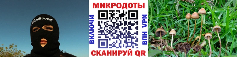 ссылка на мегу зеркало  где купить наркоту  Салаир  Псилоцибиновые грибы мицелий 